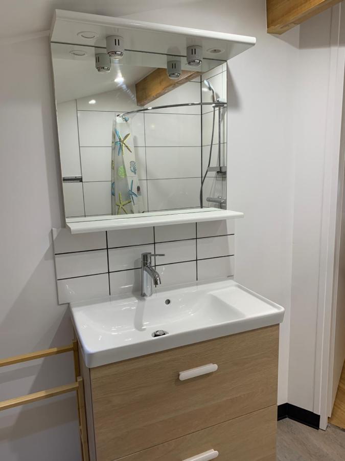 L Isle Jourdain Appartement Entier Recent Et Tout Equipe Proximite Du Centre Л'Иль-Журден Экстерьер фото
